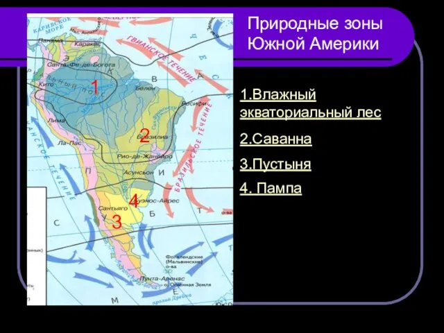 1 2 3 4 Природные зоны Южной Америки 1.Влажный экваториальный лес 2.Саванна 3.Пустыня 4. Пампа