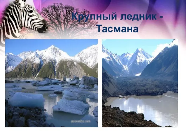 Крупный ледник - Тасмана