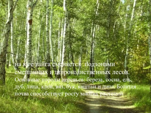 на юге тайга сменяется подзонами смешанных и широколиственных лесов. Основные породы деревьев: