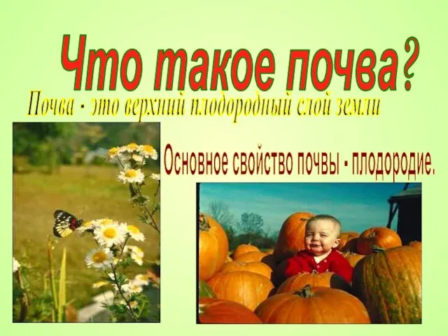 Что такое почва? Почва - это верхний плодородный слой земли Основное свойство почвы - плодородие.