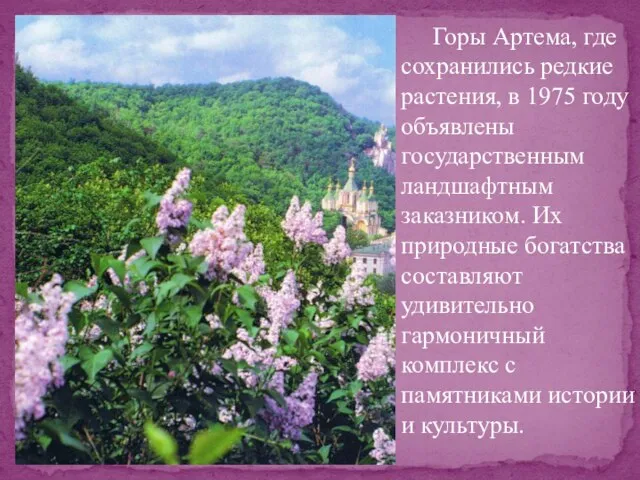 Горы Артема, где сохранились редкие растения, в 1975 году объявлены государственным ландшафтным