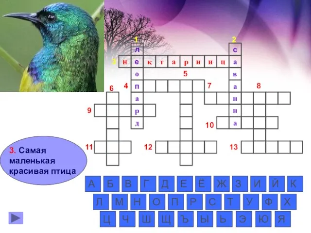 3. Самая маленькая красивая птица о л н е а н н