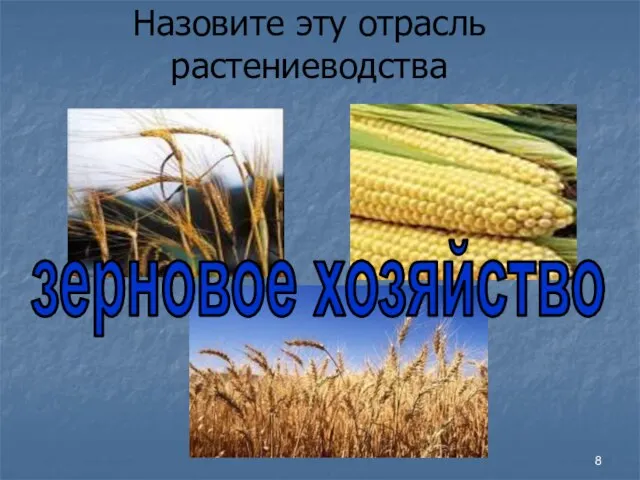 Назовите эту отрасль растениеводства зерновое хозяйство