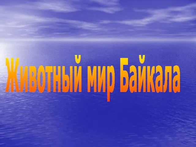 Животный мир Байкала