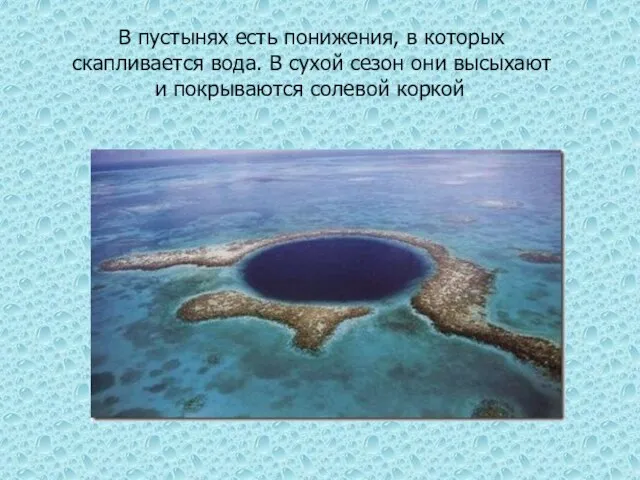 В пустынях есть понижения, в которых скапливается вода. В сухой сезон они