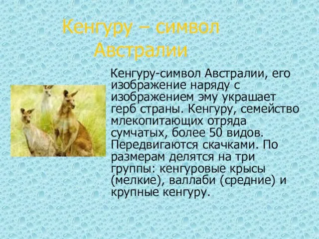 Кенгуру-символ Австралии, его изображение наряду с изображением эму украшает герб страны. Кенгуру,