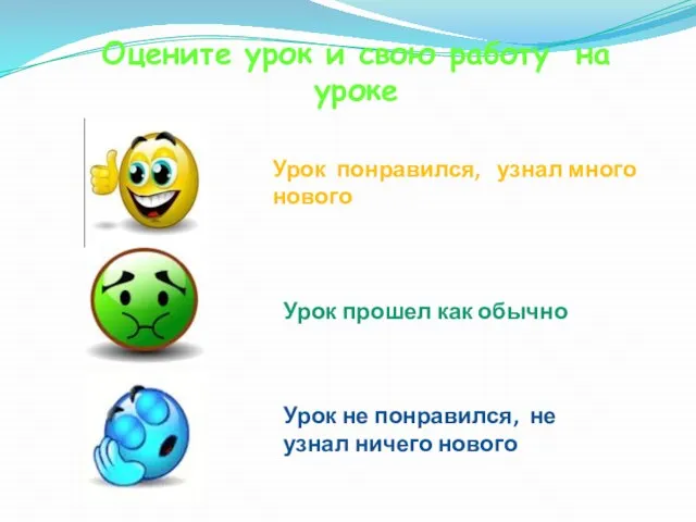 Оцените урок и свою работу на уроке Урок прошел как обычно Урок