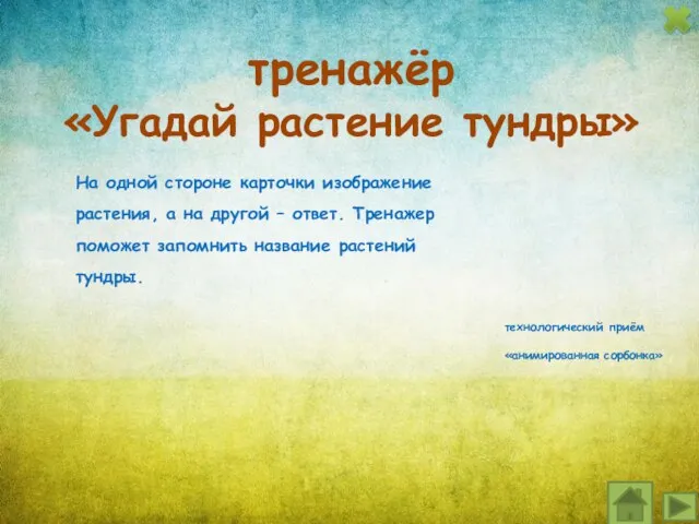 На одной стороне карточки изображение растения, а на другой – ответ. Тренажер