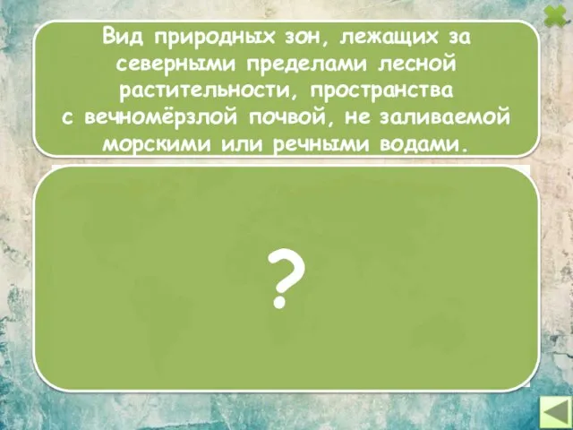 Вид природных зон, лежащих за северными пределами лесной растительности, пространства с вечномёрзлой