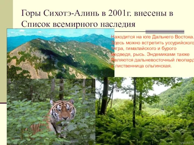 Горы Сихотэ-Алинь в 2001г. внесены в Список всемирного наследия Находится на юге