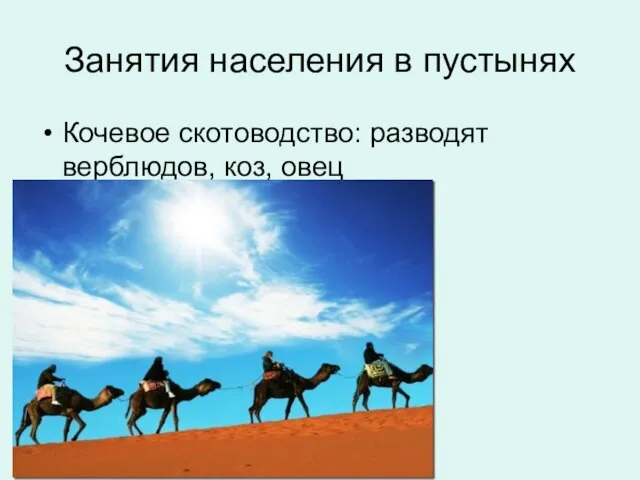 Занятия населения в пустынях Кочевое скотоводство: разводят верблюдов, коз, овец