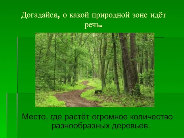 Догадайся, о какой природной зоне идёт речь. Место, где растёт огромное количество разнообразных деревьев.