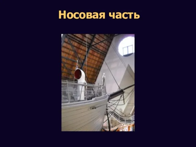 Носовая часть