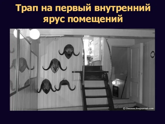 Трап на первый внутренний ярус помещений