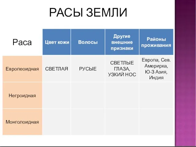 РАСЫ ЗЕМЛИ