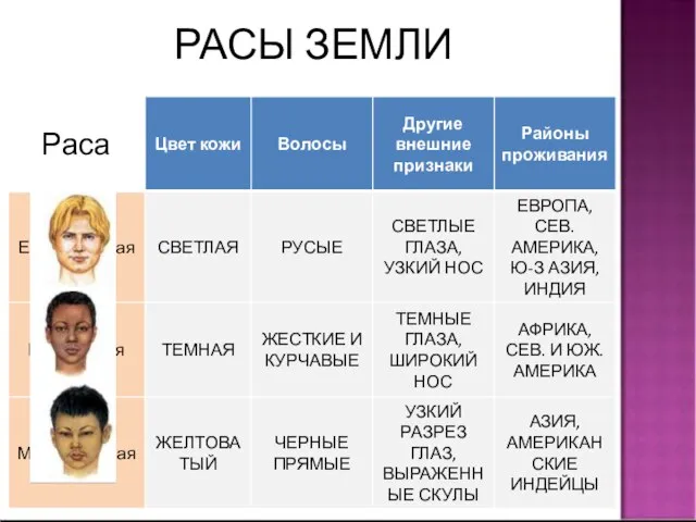 РАСЫ ЗЕМЛИ