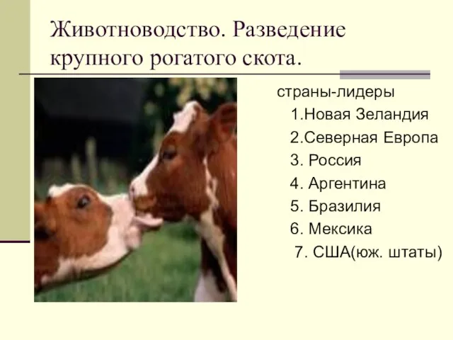 Животноводство. Разведение крупного рогатого скота. страны-лидеры 1.Новая Зеландия 2.Северная Европа 3. Россия