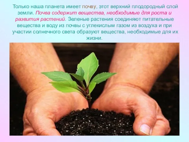 Только наша планета имеет почву, этот верхний плодородный слой земли. Почва содержит