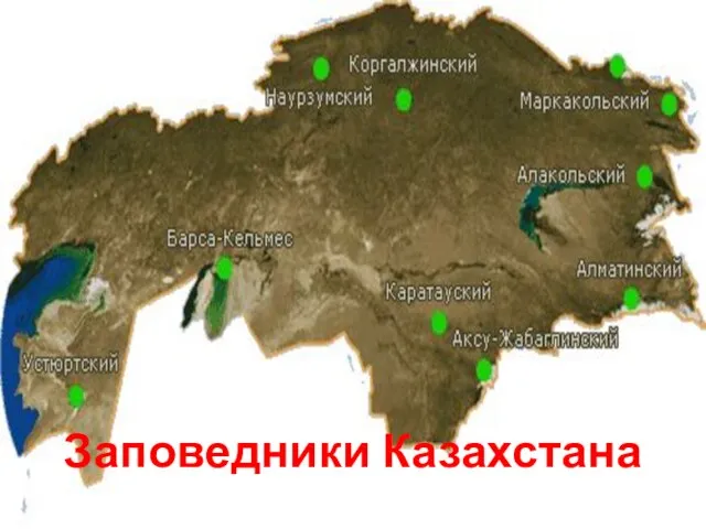 Заповедники Казахстана