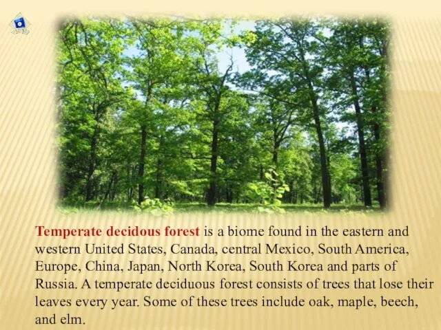 Temperate decidous forest is a biome found in the eastern and western