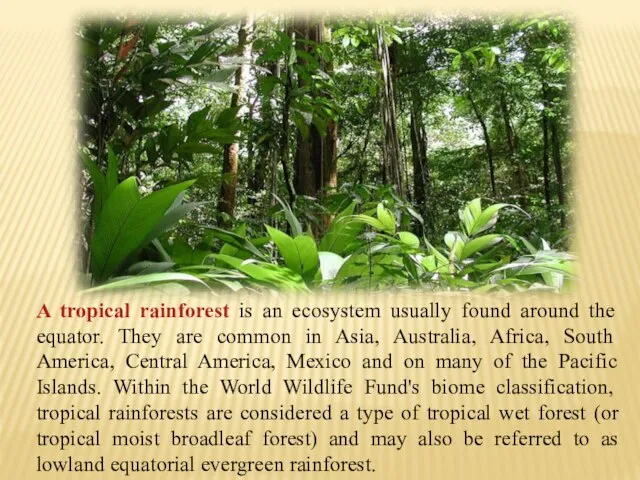 A tropical rainforest is an ecosystem usually found around the equator. They