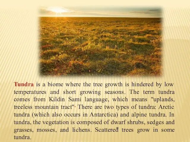 Tundra is a biome where the tree growth is hindered by low