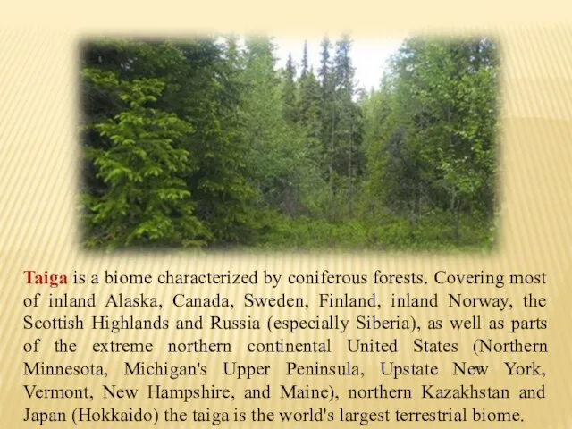 Taiga is a biome characterized by coniferous forests. Covering most of inland