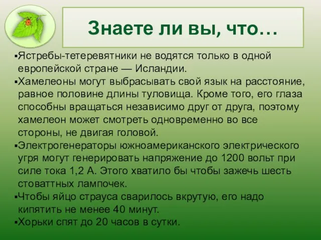 Знаете ли вы, что… Ястребы-тетеревятники не водятся только в одной европейской стране