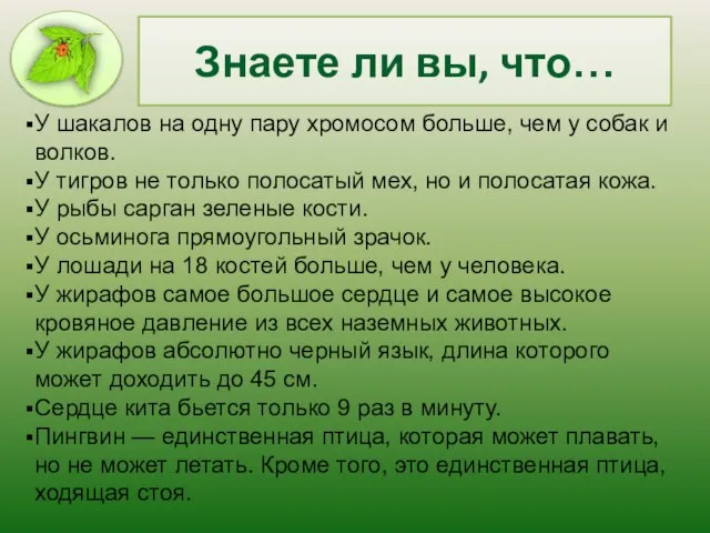 Знаете ли вы, что… У шакалов на одну пару хромосом больше, чем