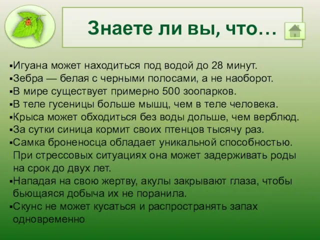 Знаете ли вы, что… Игуана может находиться под водой до 28 минут.