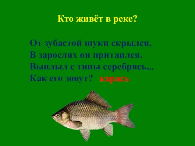 Кто живёт в реке? От зубастой щуки скрылся, В зарослях он притаился.