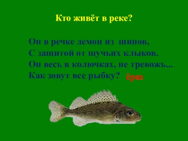 Кто живёт в реке? Он в речке демон из шипов, С защитой