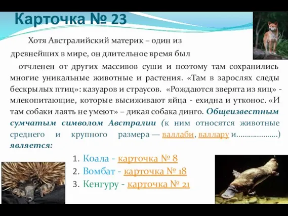 Карточка № 23 Хотя Австралийский материк – один из древнейших в мире,