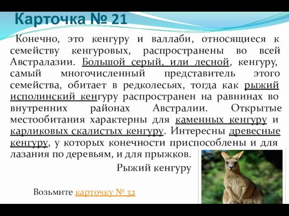 Карточка № 21 Конечно, это кенгуру и валлаби, относящиеся к семейству кенгуровых,