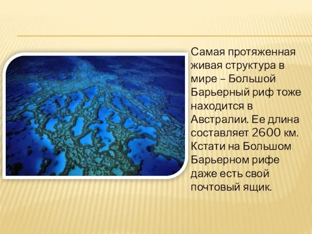 Самая протяженная живая структура в мире – Большой Барьерный риф тоже находится