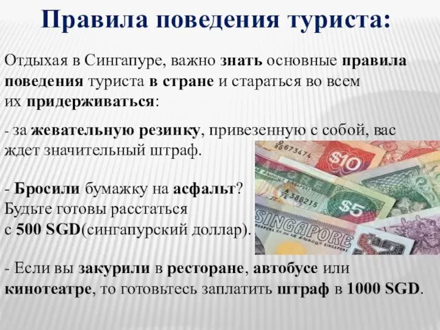 Правила поведения туриста: Отдыхая в Сингапуре, важно знать основные правила поведения туриста