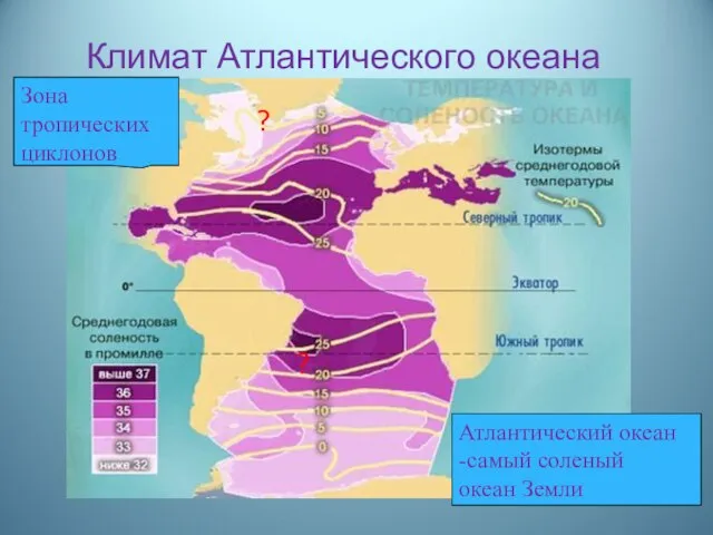 Климат Атлантического океана Атлантический океан -самый соленый океан Земли ? ? Зона тропических циклонов