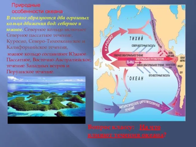 Природные особенности океана. В океане образуются два огромных кольца движения вод: северное