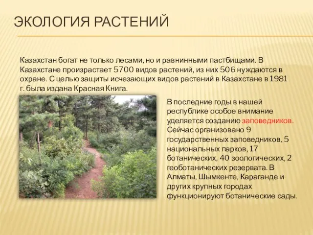 Экология растений Казахстан богат не только лесами, но и равнинными пастбищами. В