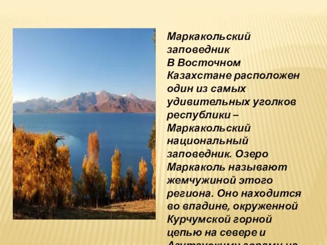 Маркакольский заповедник В Восточном Казахстане расположен один из самых удивительных уголков республики