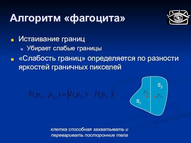 Алгоритм «фагоцита» Истаивание границ Убирает слабые границы «Слабость границ» определяется по разности