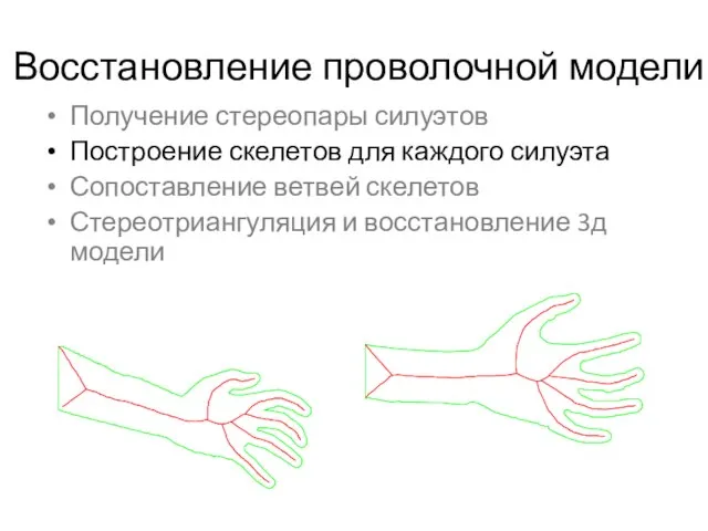 Восстановление проволочной модели Получение стереопары силуэтов Построение скелетов для каждого силуэта Сопоставление