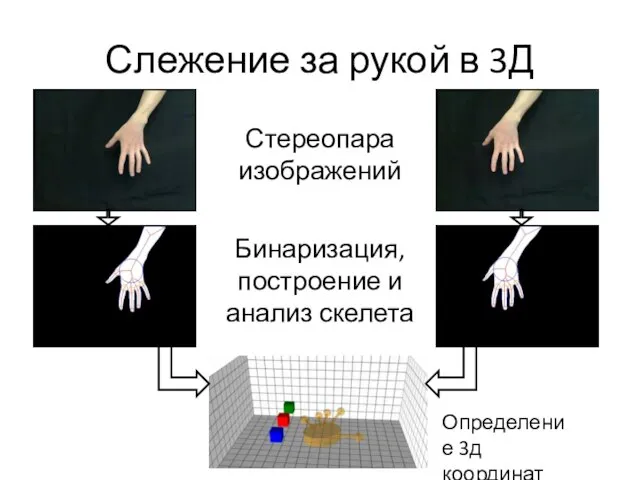 Слежение за рукой в 3Д Стереопара изображений Бинаризация, построение и анализ скелета Определение 3д координат