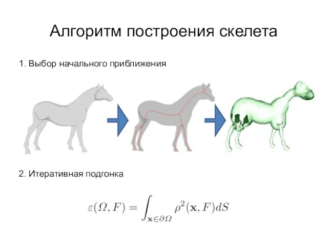 Алгоритм построения скелета 1. Выбор начального приближения 2. Итеративная подгонка