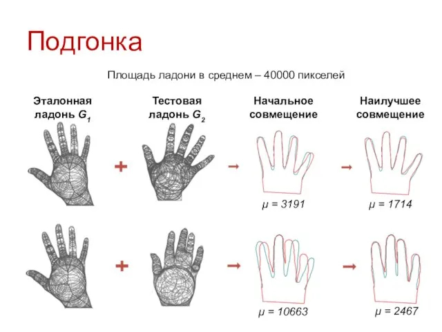 Подгонка Площадь ладони в среднем – 40000 пикселей Эталонная ладонь G1 Тестовая