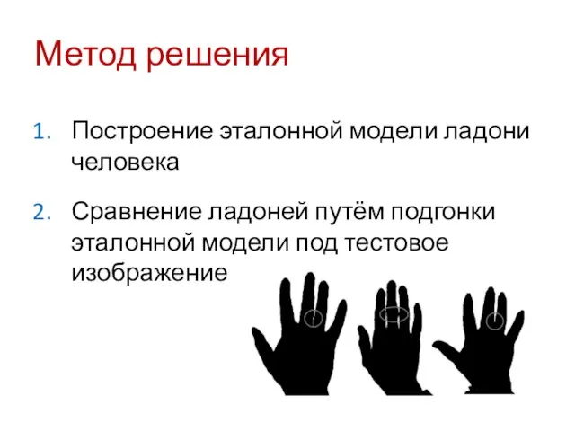 Метод решения Построение эталонной модели ладони человека Сравнение ладоней путём подгонки эталонной модели под тестовое изображение