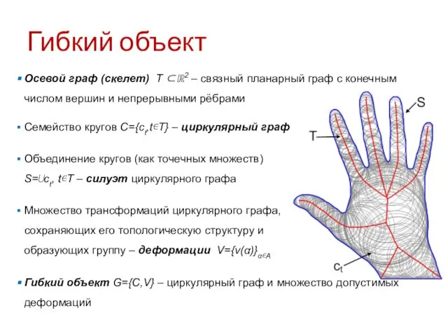 Гибкий объект Семейство кругов C={ct,t∊T} – циркулярный граф Объединение кругов (как точечных