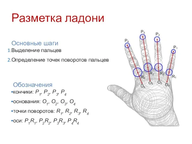 Разметка ладони Основные шаги Выделение пальцев Определение точек поворотов пальцев Обозначения кончики: