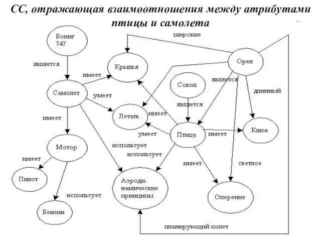 СС, отражающая взаимоотношения между атрибутами птицы и самолета