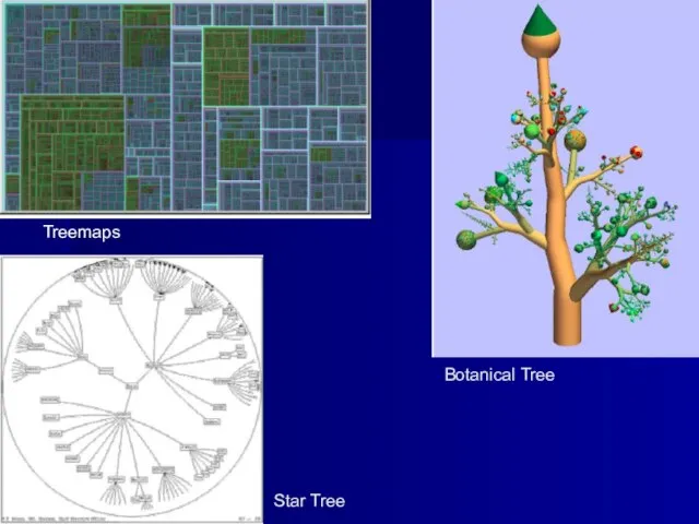 Treemaps Botanical Tree Star Tree